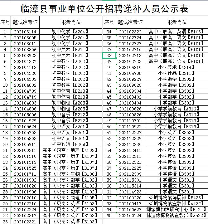 临漳县人民政府办公室最新招聘细则及详解