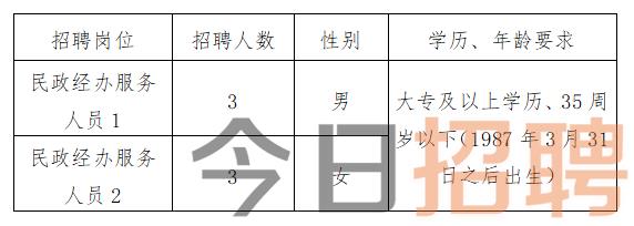 柳江县发展和改革局最新招聘概览